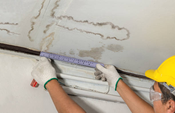 Reliable Water Damage contractor in Griffin, GA by Water Damage Irwin